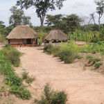 Zambia, af en toe een hutje