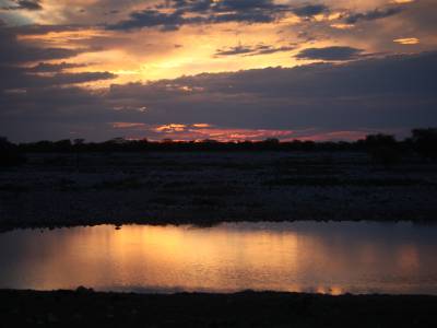 A Sort of Homecoming