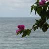 Tioman