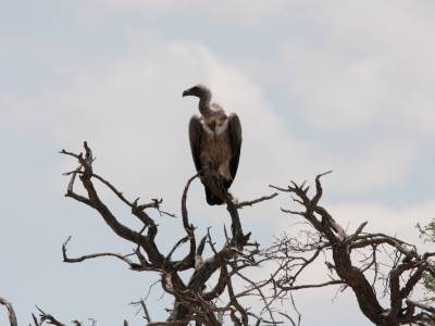 De schrik van mijn leven