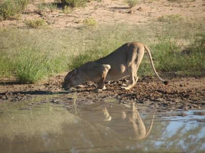 Een Afrikaanse Enclave
