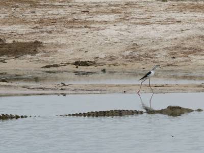 Een ongeluk komt zelden alleen