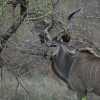 GHR_9943