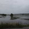 naamloos-21-van-58