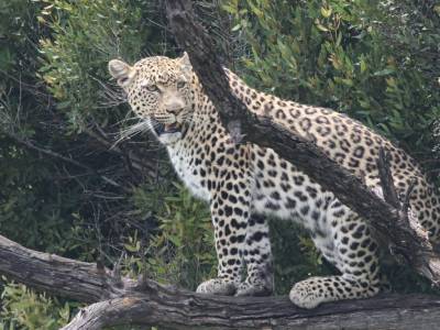 Family on X-mas tour