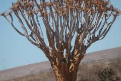 Het Namib-Naukluft NP