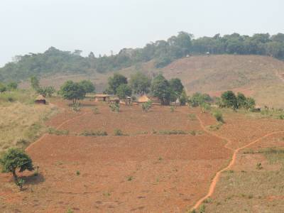 Hittegolf in Zimbabwe