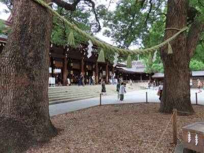 Japan, echt een andere cultuur