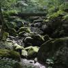 Japan-109