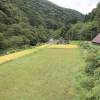 Japan-115