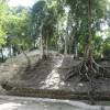 naamloos-19-van-65