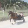 naamloos-25-van-65