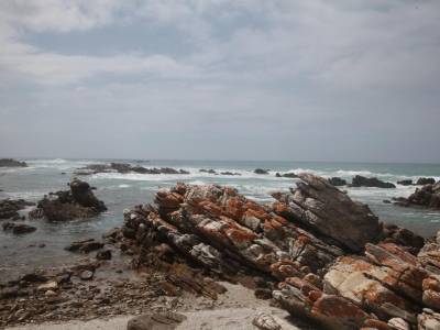 Naar Cape l'Agulhas