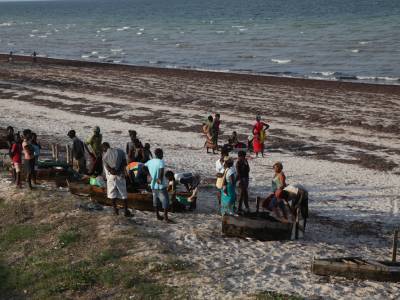 Pepernoten uit Mozambique