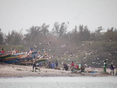 Senegal-Gambia