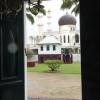 website-24