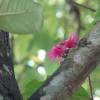 website-34