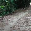 website-39