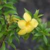 website-50