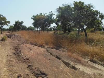 Terug naar de Kust, Ghana