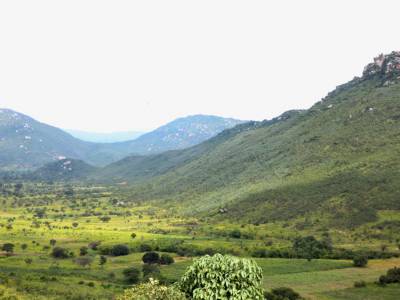 Transit Tanzania