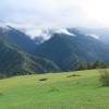 IMG_5713